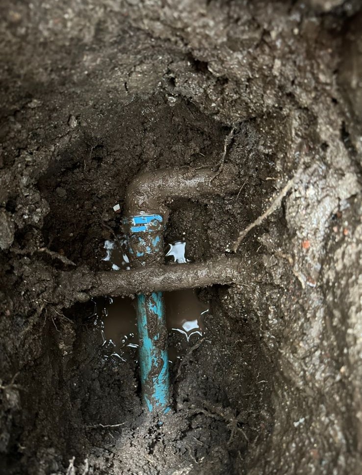 Ubicación y Respuesta